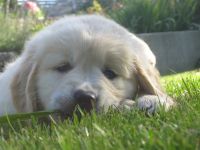 IMG 3437.JPG