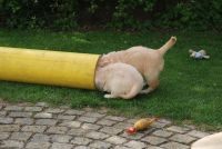 IMG 3587